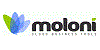 MOLONI Software Online de Gestão